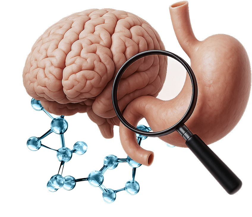 Explore Our Research Categories